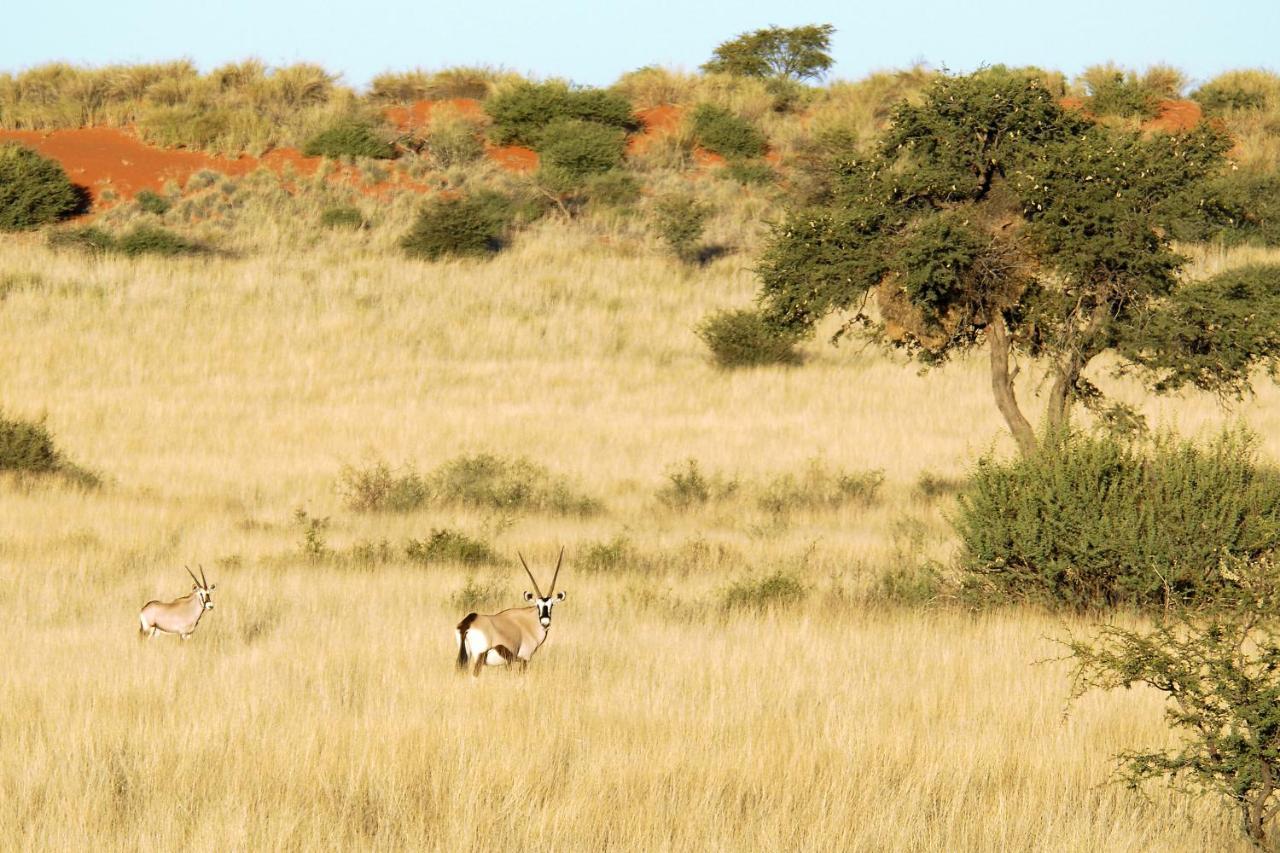 Gondwana Kalahari Anib Lodge Hardap エクステリア 写真