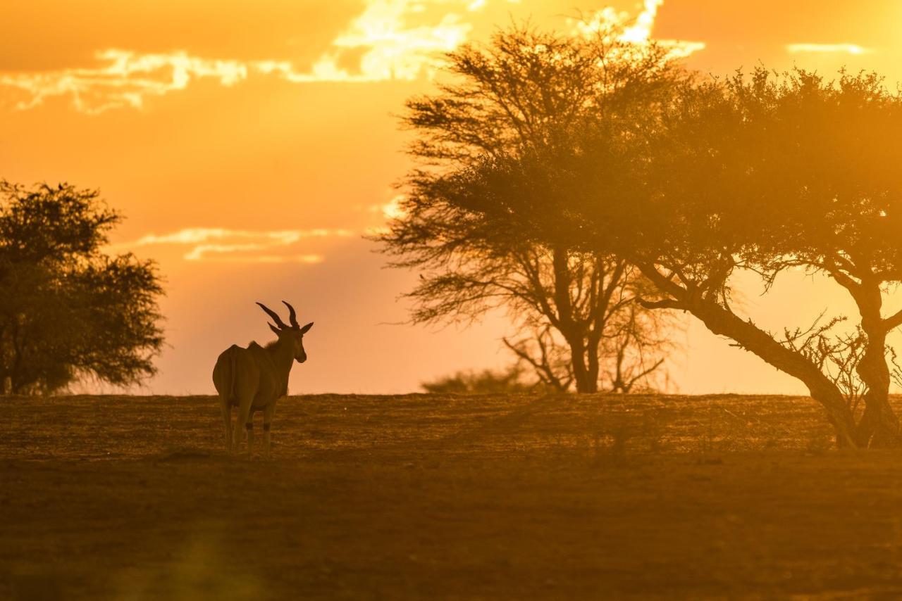 Gondwana Kalahari Anib Lodge Hardap エクステリア 写真